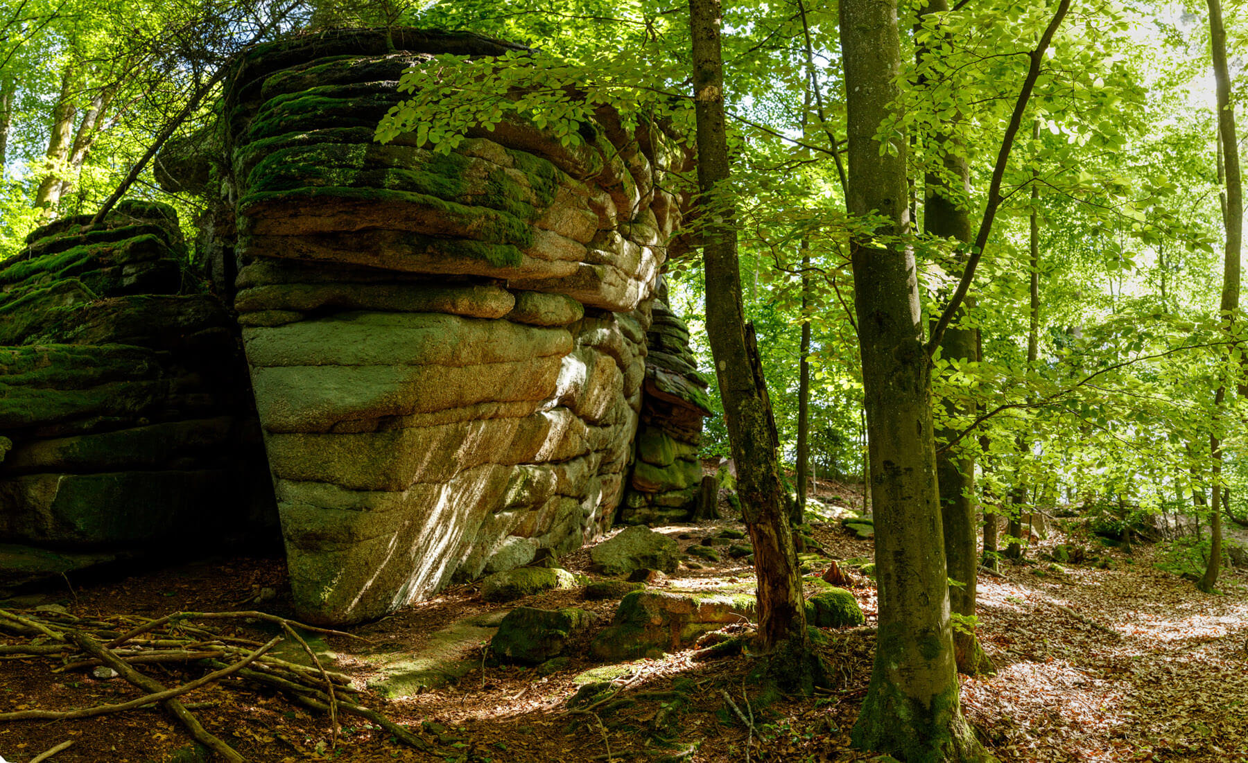 Eine große, geschichtete Felsformation, umgeben von hohen grünen Bäumen in einem sonnendurchfluteten Wald, mit fleckigem Sonnenlicht auf dem Boden und verstreuten Wurzeln und Felsen.